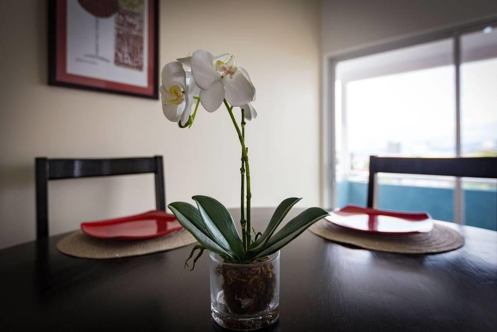 The Brompton'S Luxury Apartment Kingston Extérieur photo